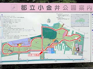 小金井公園 園内マップ